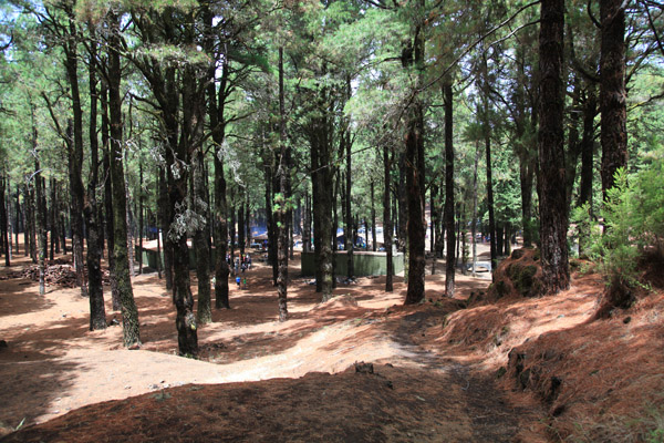 Picknickplaats El Pilar